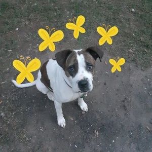 Meet your Posher, Neenee